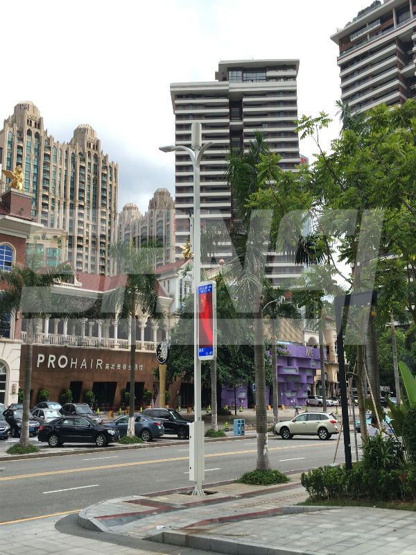 東莞（wǎn）智慧路（lù）燈