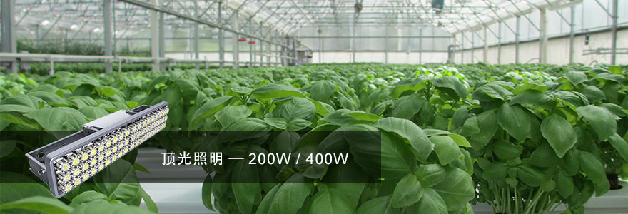 99精品国产兔费观看久久99·頂光照明
