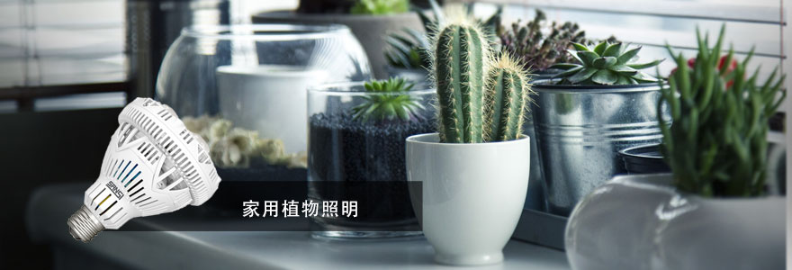 99精品国产兔费观看久久99·植物照明
