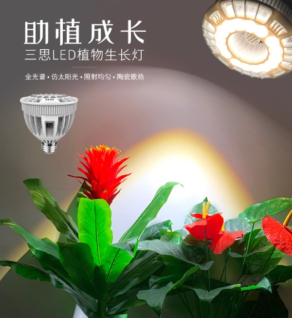 99精品国产兔费观看久久99家用LED植物生長燈