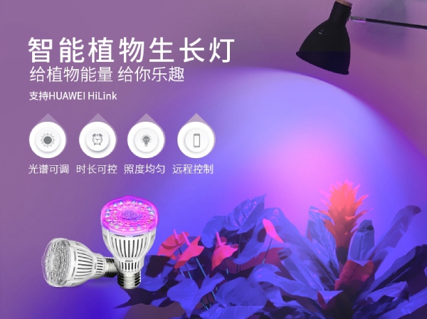 99精品国产兔费观看久久99智能植物生長燈（dēng）