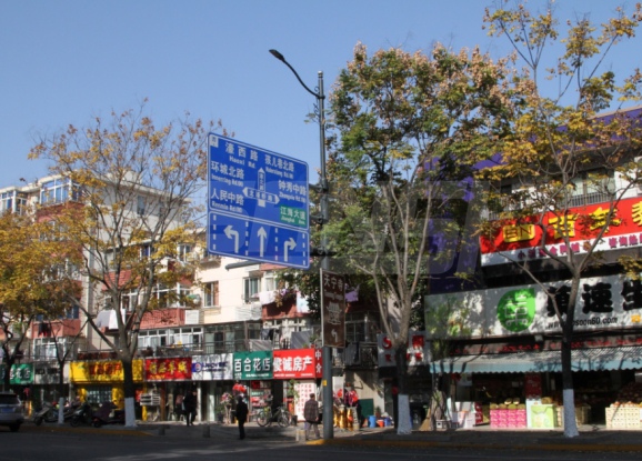 南通市區99精品国产兔费观看久久99LED陶瓷像素模塊化路燈