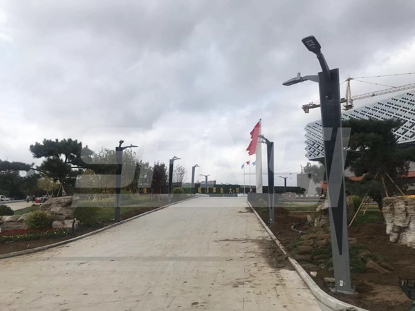山西大同新能源園（yuán）區智慧（huì）路燈