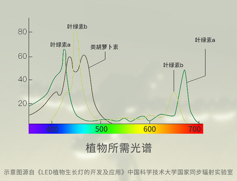 99精品国产兔费观看久久99LED