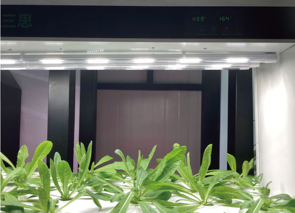 99精品国产兔费观看久久99植物照明