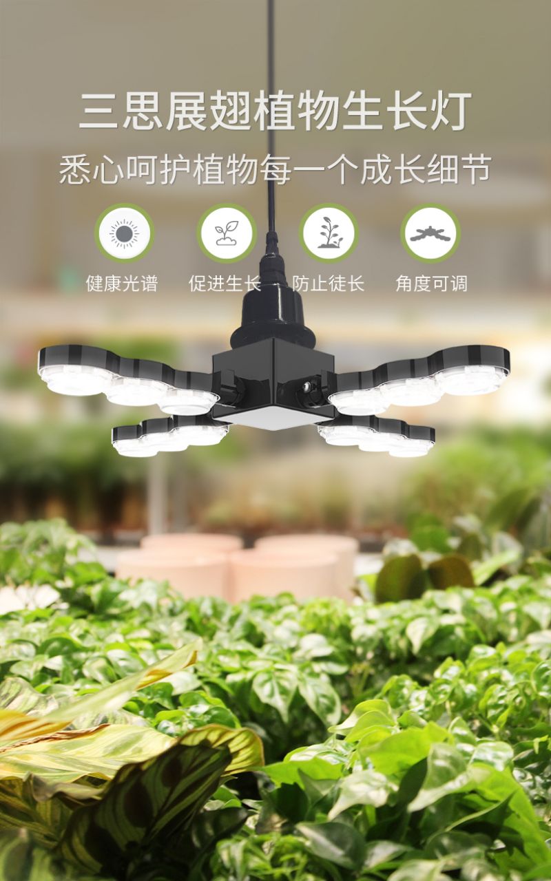 99精品国产兔费观看久久99植物燈