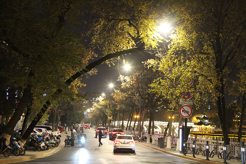 新技（jì）術,道路照（zhào）明設施（shī）,引領城市,智慧化建設