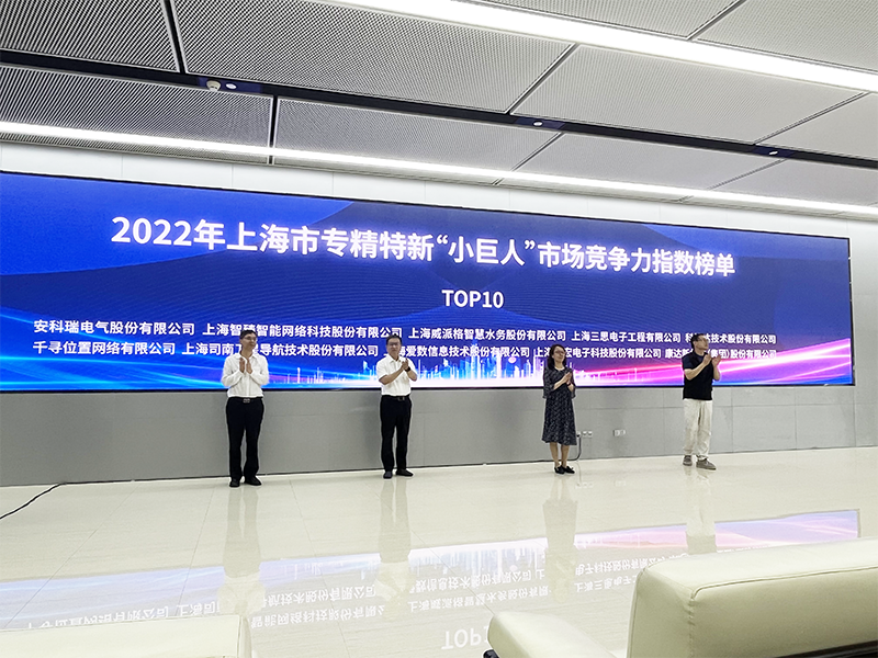 上海市,小巨人,競爭（zhēng）力指（zhǐ）數榜單發布,99精品国产兔费观看久久99,居全市總榜第四,分項NO.1