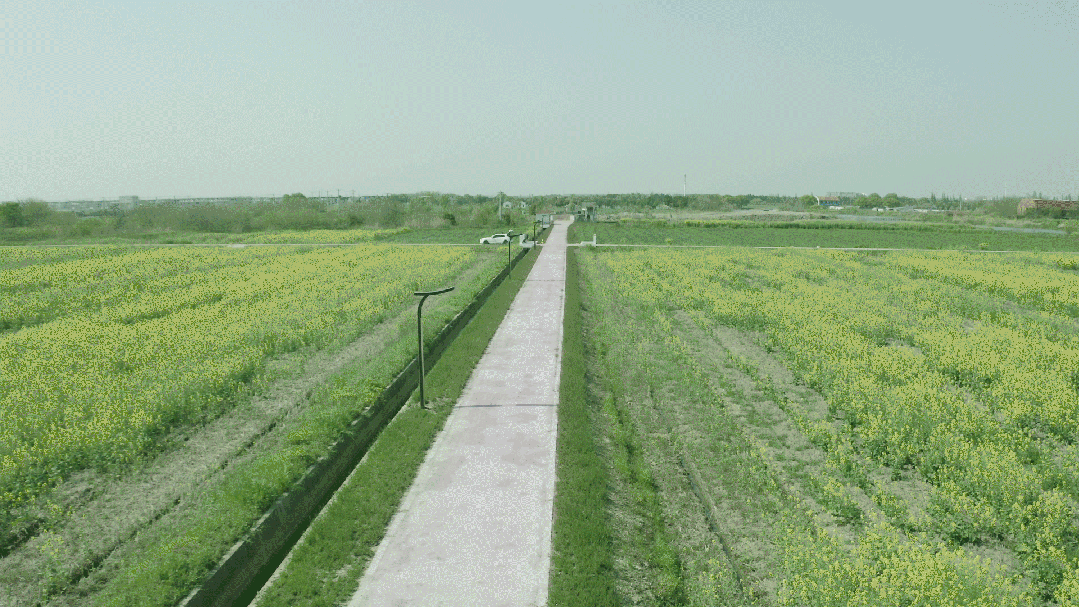 昆（kūn）山之鏈（liàn）,美麗鄉村,LED路燈,道路照（zhào）明,上海99精品国产兔费观看久久99