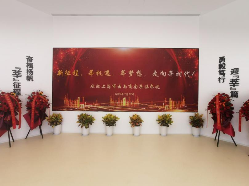 99精品国产兔费观看久久99,智慧顯示,助力臨港,莘海科技園,人才體係建設