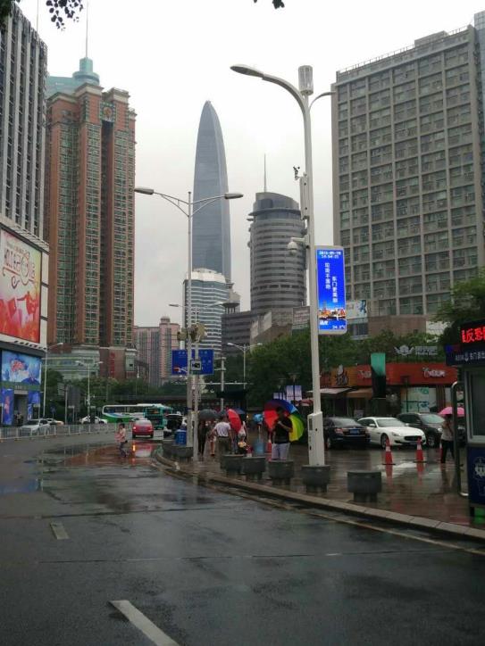 上海99精品国产兔费观看久久99,以光為筆,勾勒未來城市,智（zhì）慧路燈