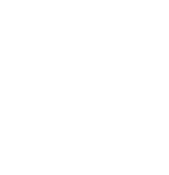 大型晚會（huì）