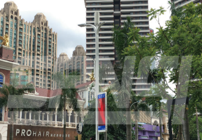 東（dōng）莞智慧路燈