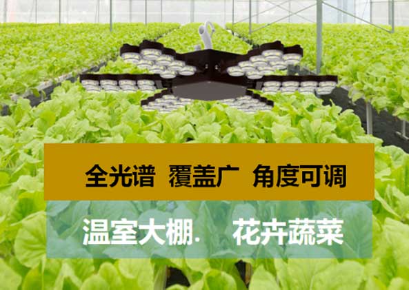 LED顯示屏,LED顯示（shì）屏廠家,LED照明廠家,照明解決方案,顯示屏解決方案